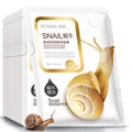 Pack 10 Masques Bave d'Escargot — Hydratation Intense